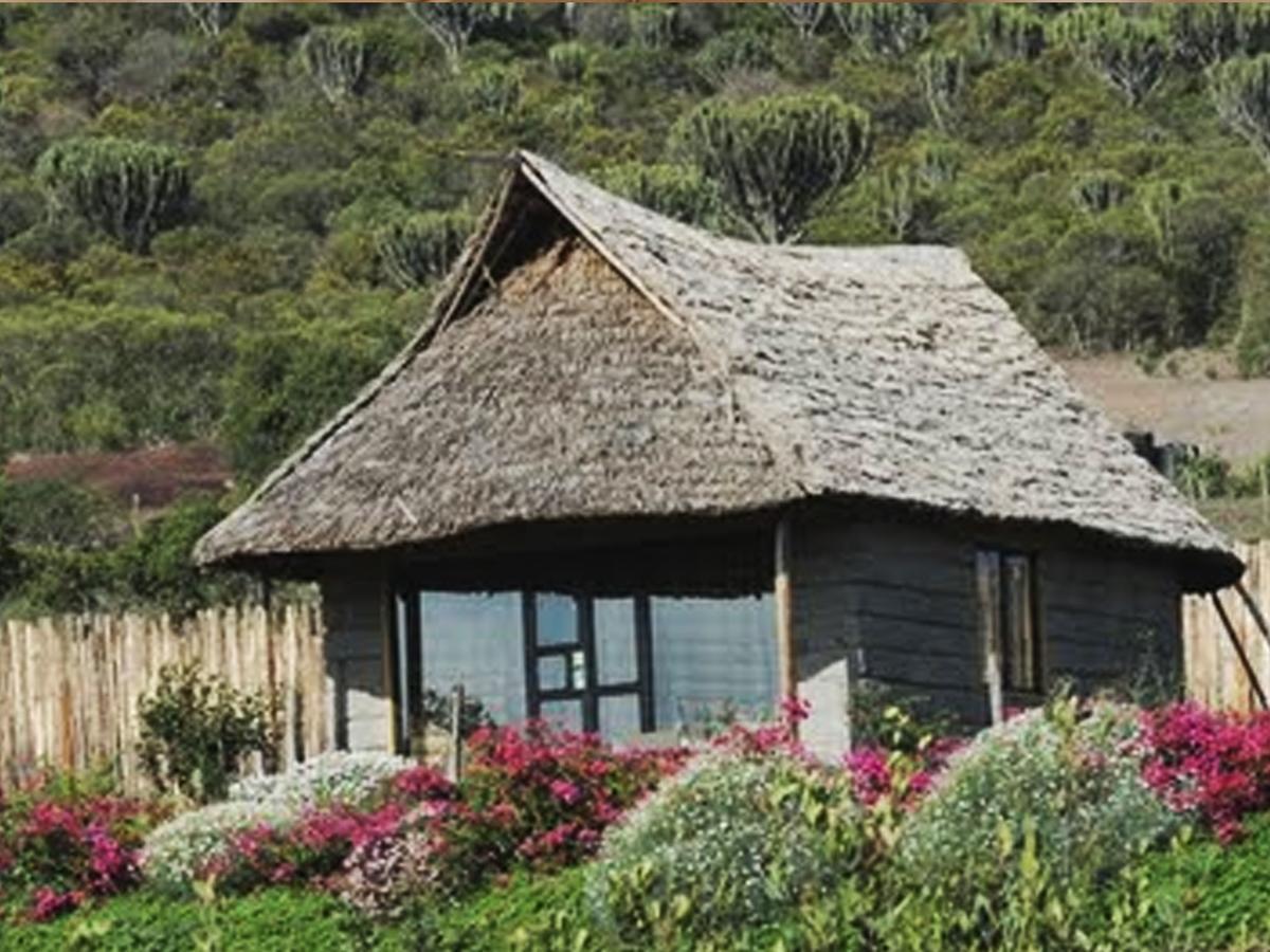 Rhino Watch Safarilodge Mweiga Номер фото